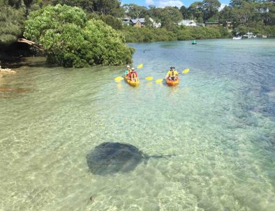 Original__9887714_EQ66_fulltidestingrayhire_nlnpihw