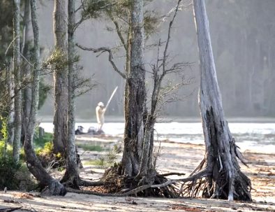 bh-fishing-nth-beach-373647