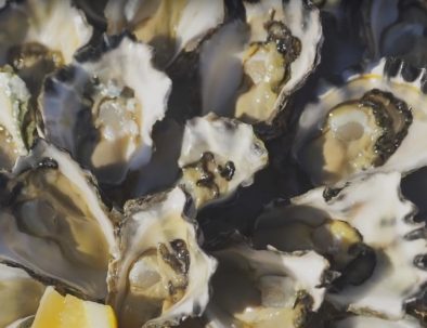 bh-oysters-platter-347654356