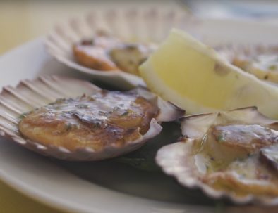 bh-plate-of-sea-life-dish-237654756