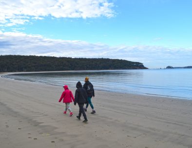 mangrove-walk-batemans-bay-4