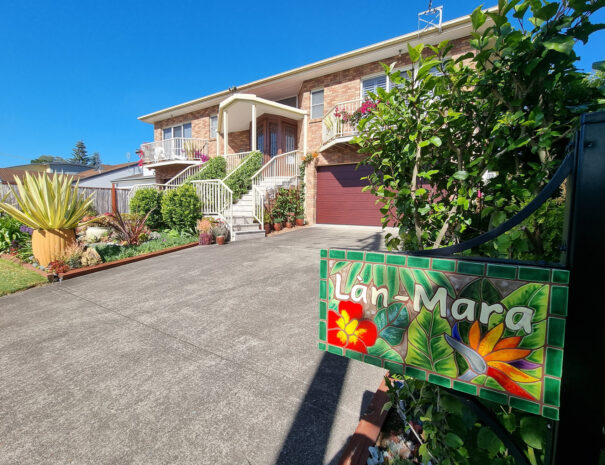 20241013_153748-fireworks